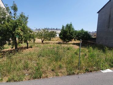 Terreni e lotti in vendita a Calle BRAZAL