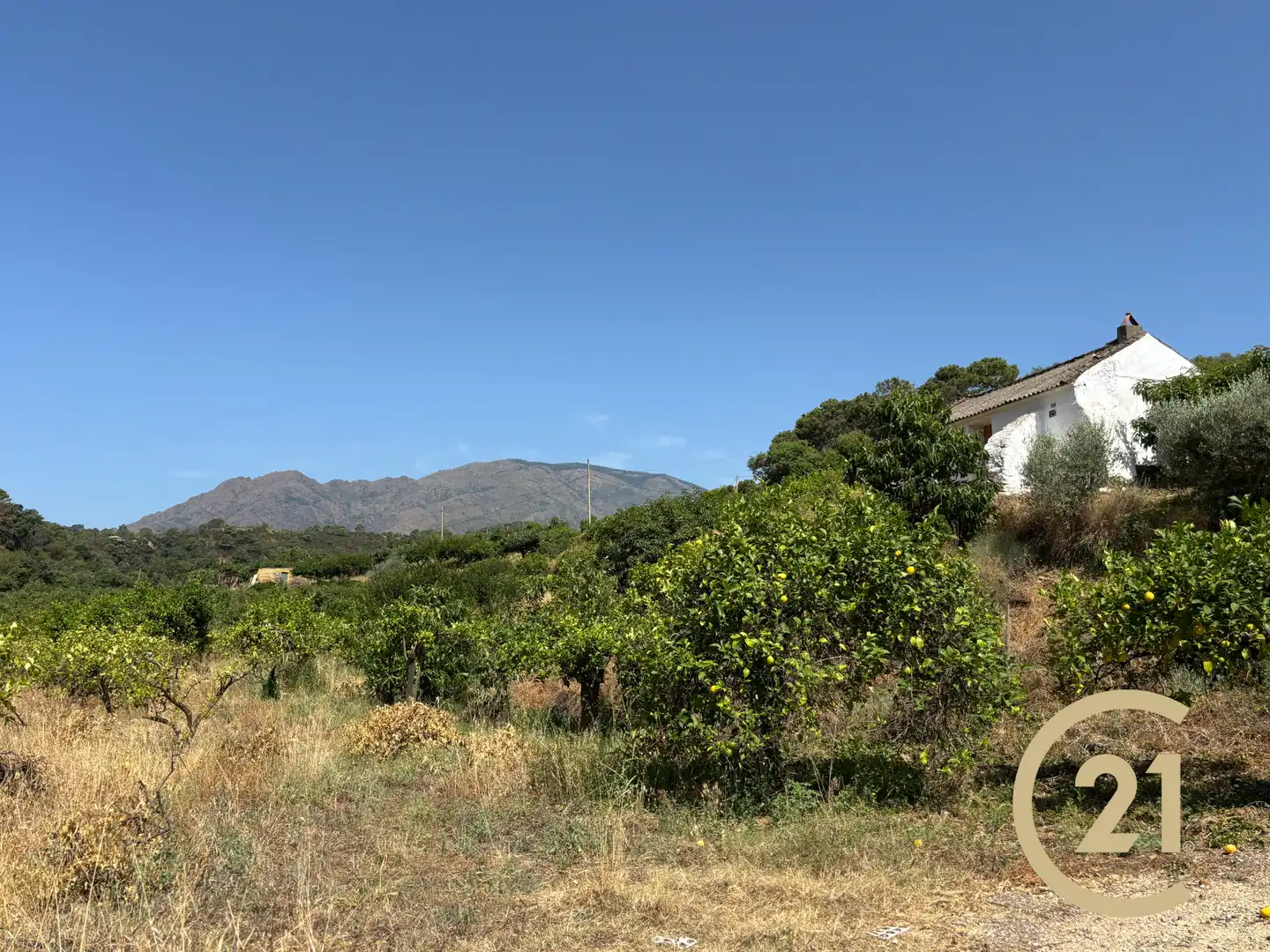 Land for sale in Estepona