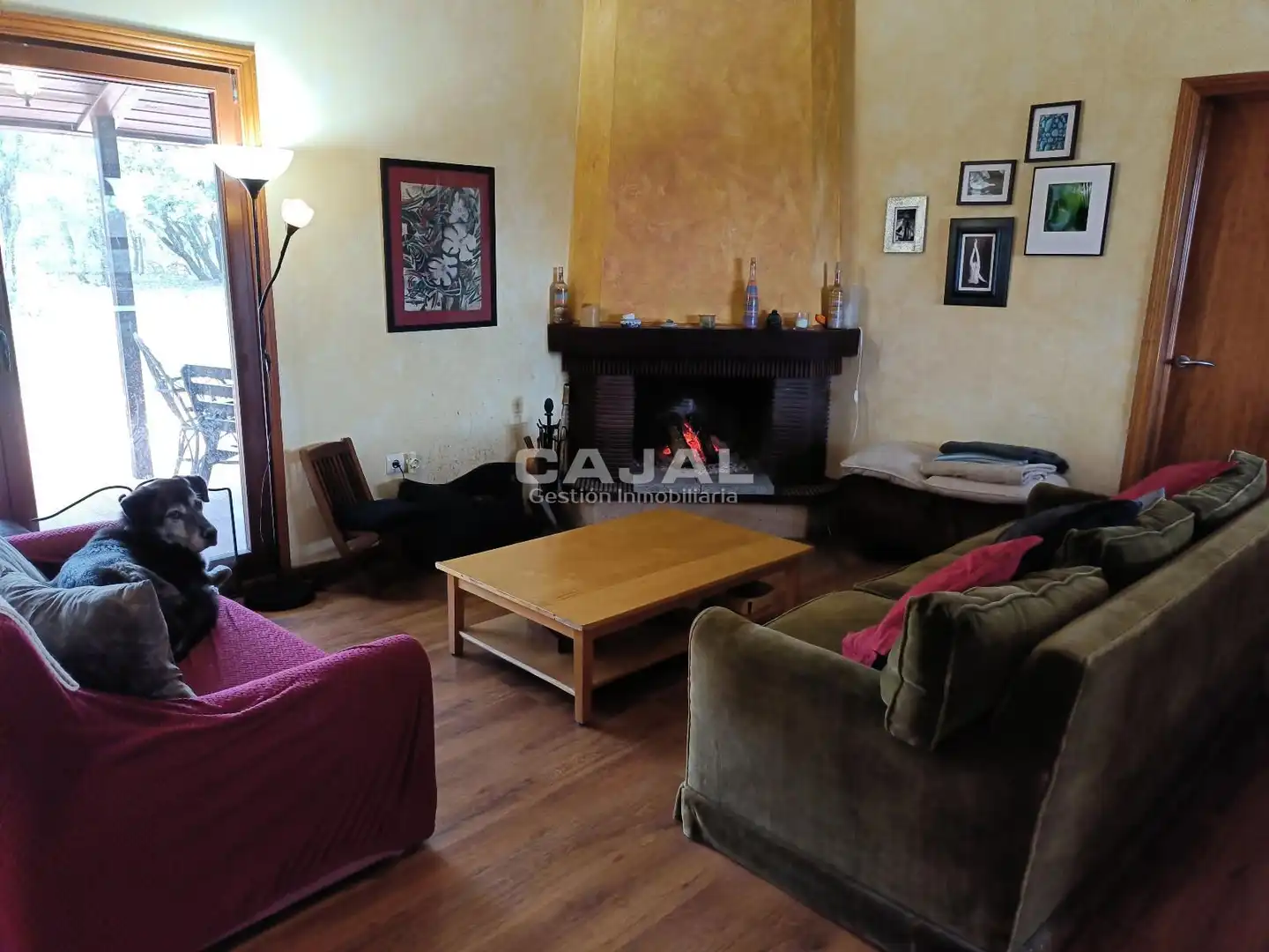 Sala de estar de Casa o chalet en venta en Castillejo de Mesleón con Calefacción