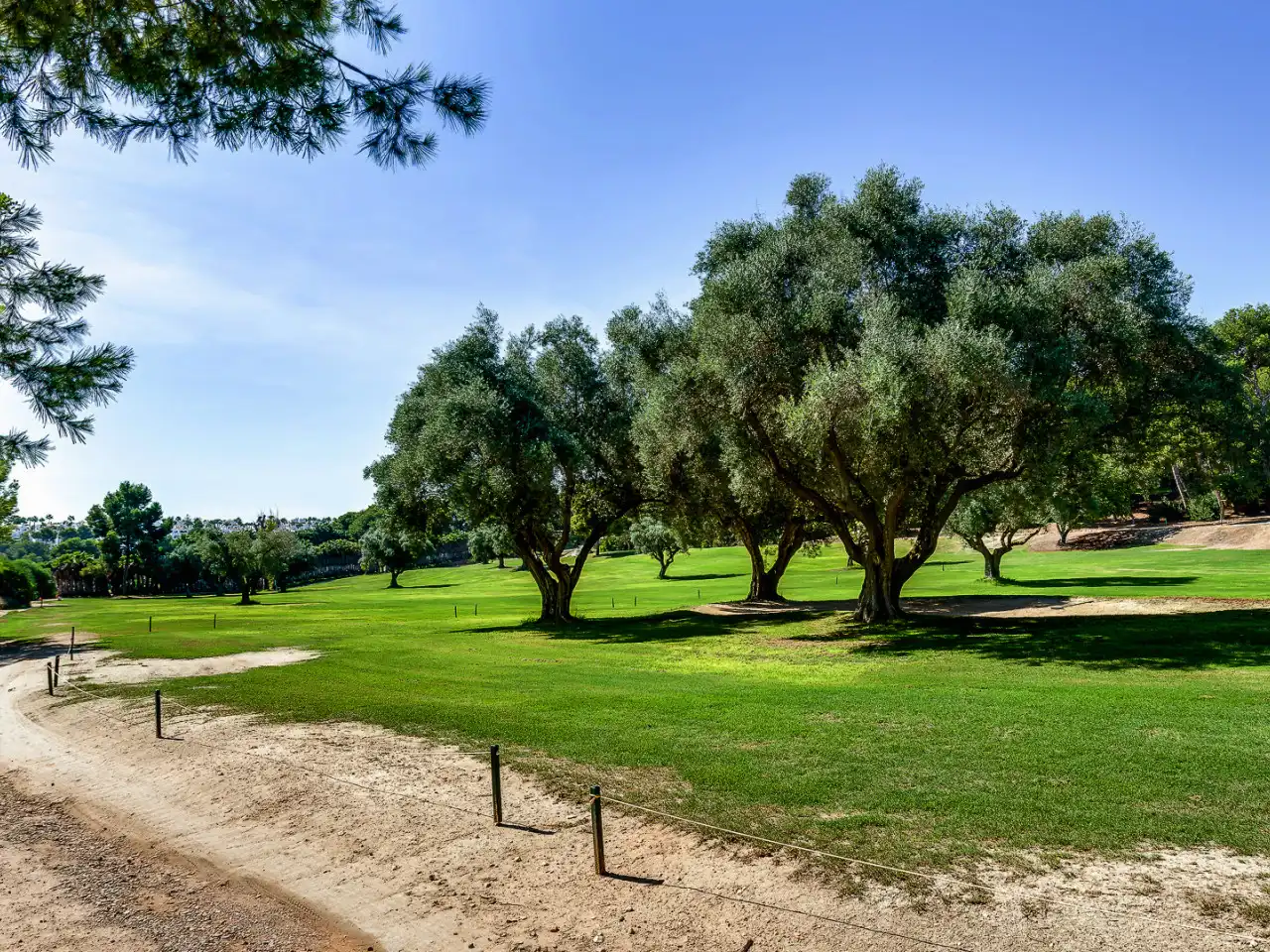 Adosado con terraza en venta en Orihuela Costa, imagen 39
