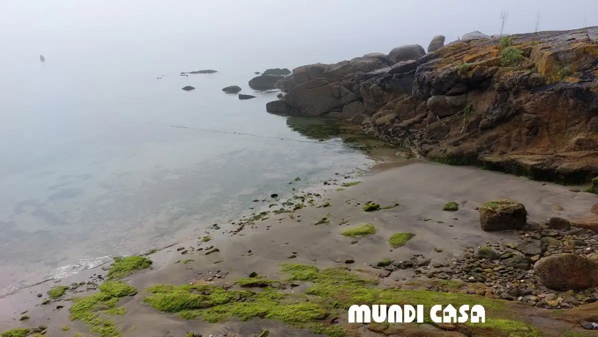 Vista exterior de Casa o xalet en venda en A Pobra do Caramiñal amb Calefacció, Terrassa i Traster