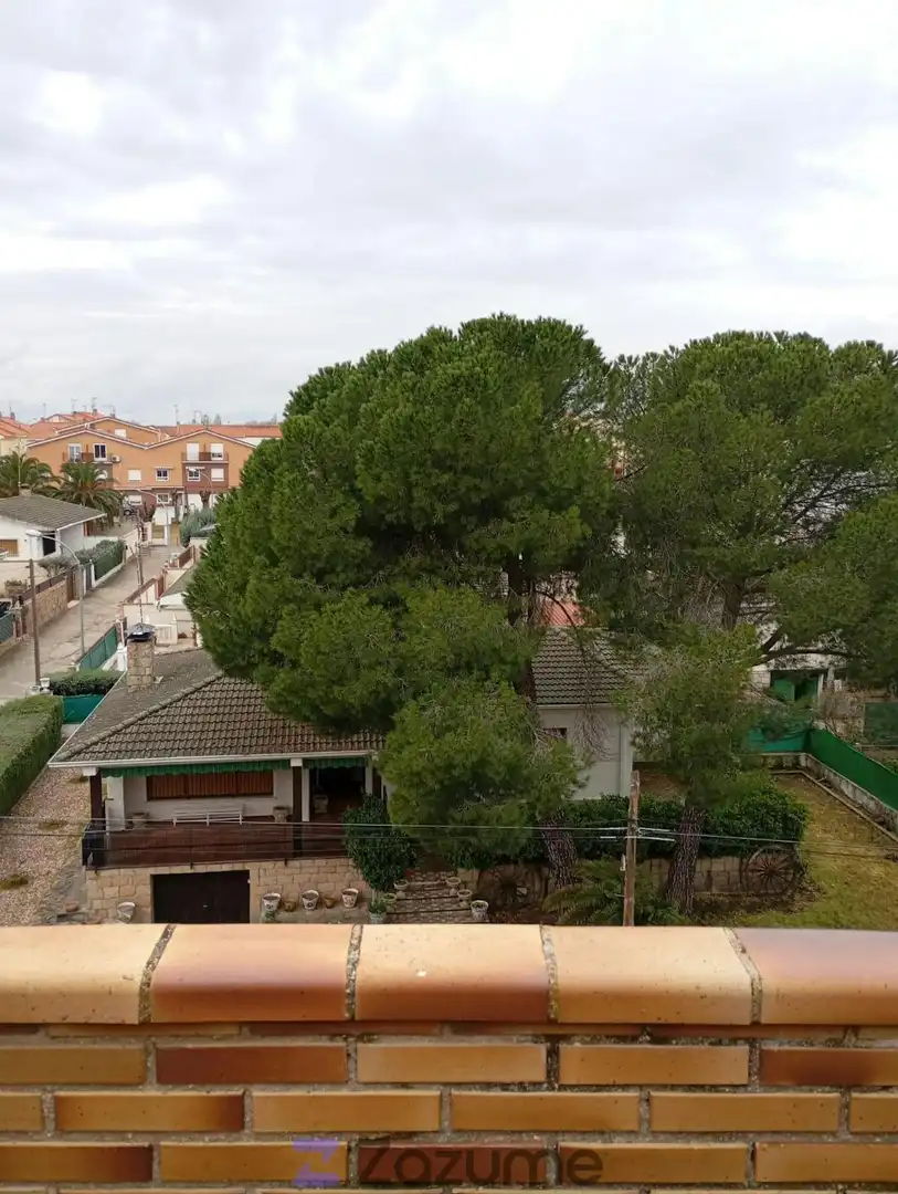 Exterior view of Flat for rent in Camarena  with Heating, Parquet flooring and Terrace