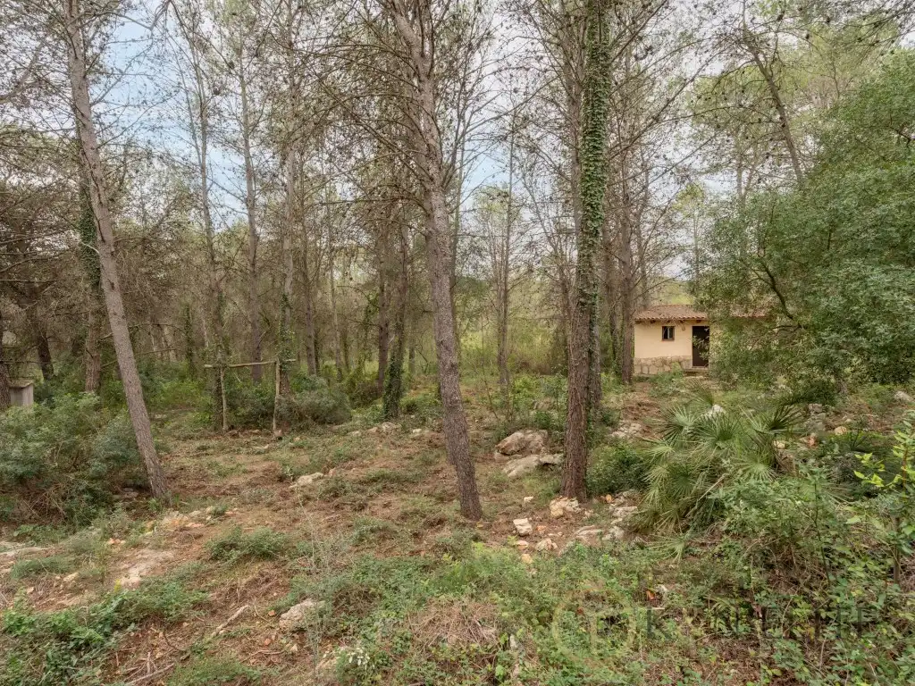 Houses for sale in Gandia  with Terrace and Swimming Pool