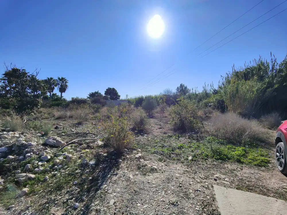 Rural land for sale in PARAJE MOSMAY Y PI DE CALSES, POL.12 , PARCELAS 37, imagen 7