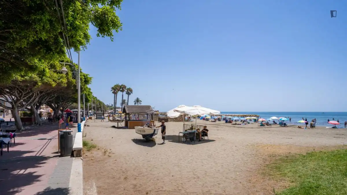Vista exterior de Estudi de lloguer en Málaga amb Aire condicionat, Calefacció i Moblat