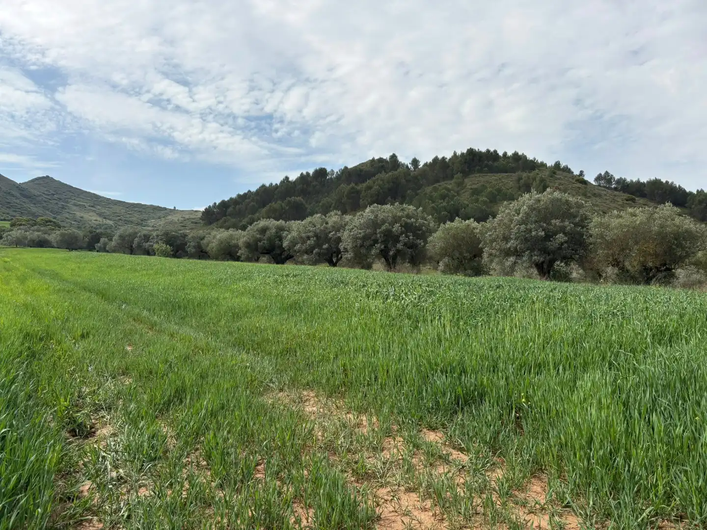Terreno rústico en venta en Lardero, imagen 2