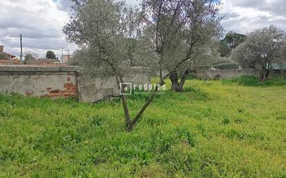 Residential for sale in Numancia de la Sagra