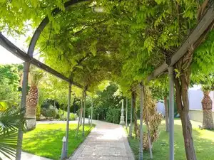 Villa mit Pool zum Verkauf in Villarrobledo, imagen 20