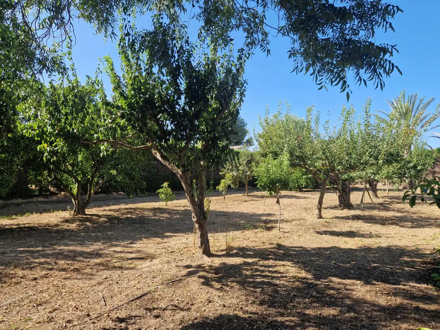 Finca rústica en venta en Jerez de la Frontera con Aire acondicionado, Calefacción y Piscina
