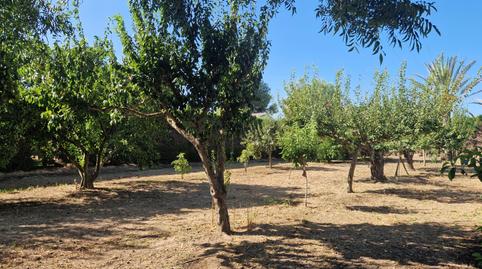 Foto 4 de Finca rústica en venda a Pozoalbero, Cádiz
