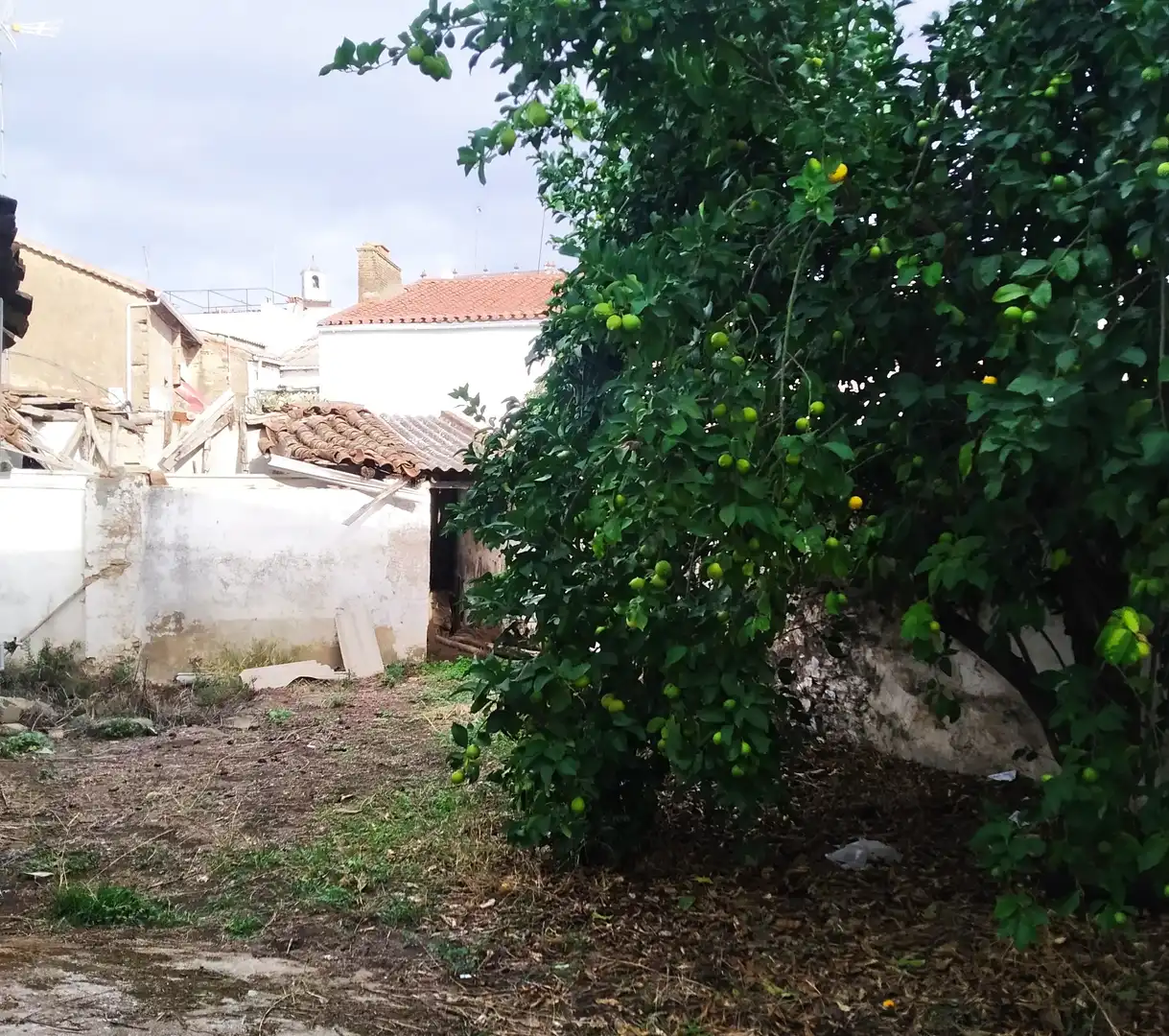 Terreno residenziale in vendita a Jerez de los Caballeros, imagen 3