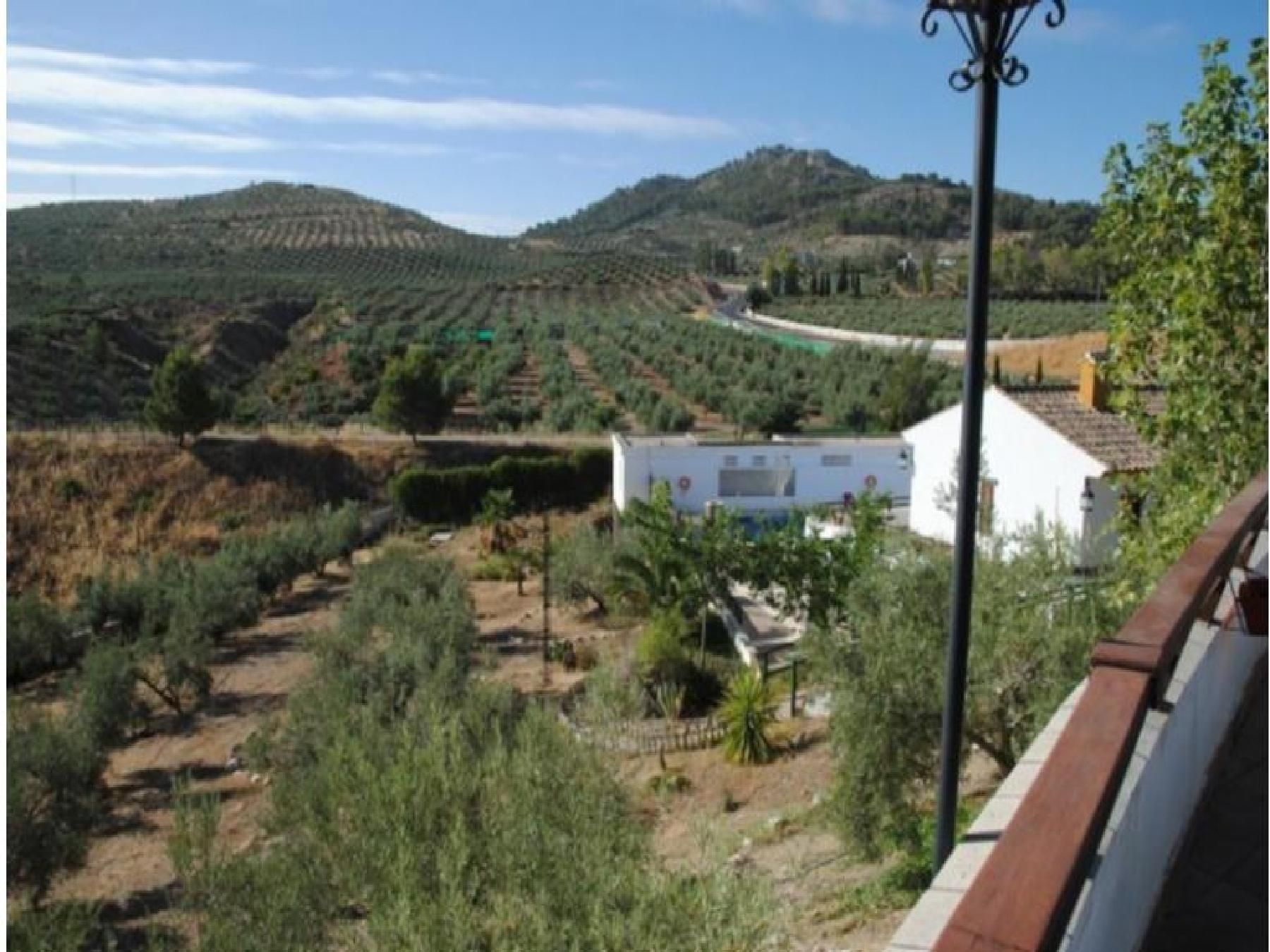 Garden of Residential for sale in Alcaudete