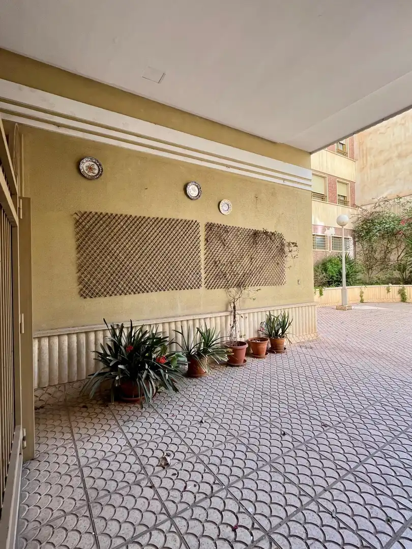 Wohnung mit Terrasse zum Verkauf in Elche ciudad, imagen 30