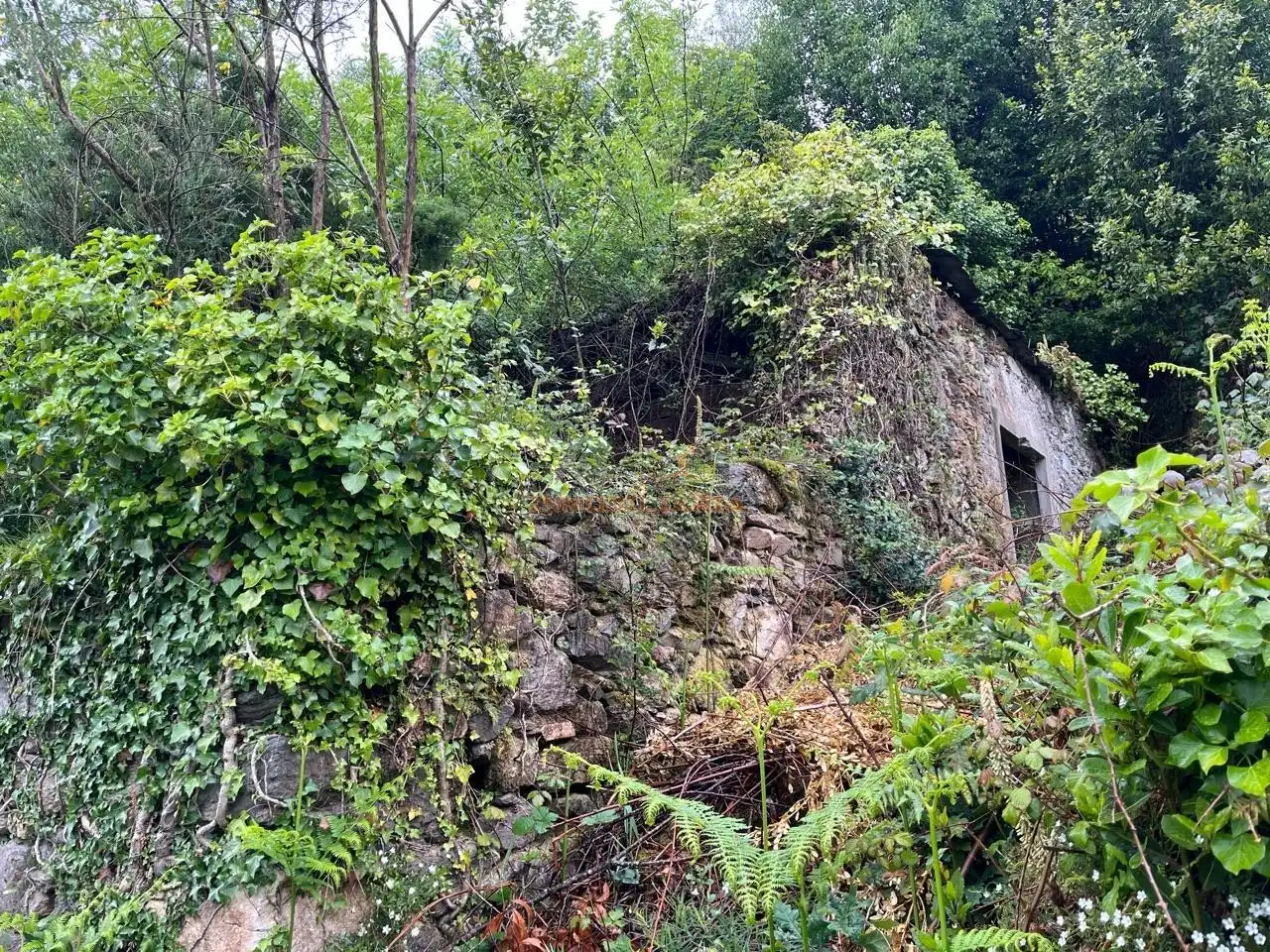 Haus mit Garten zum Verkauf in As Somozas, imagen 5