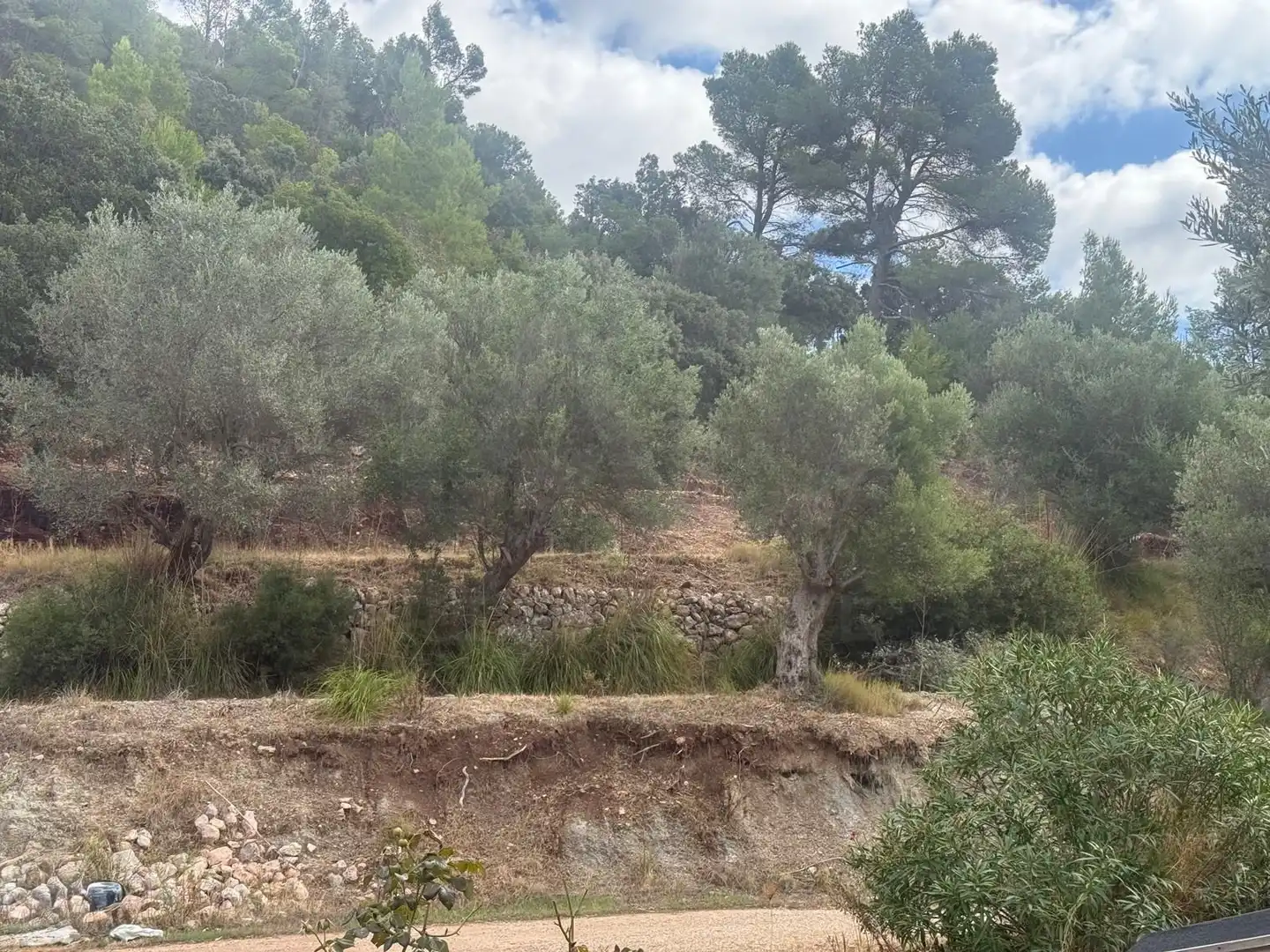 Casa en venda a Esporles, imagen 16