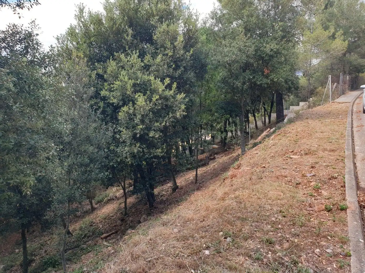 Terrain résidentiel à vendre à Matadepera, imagen 17