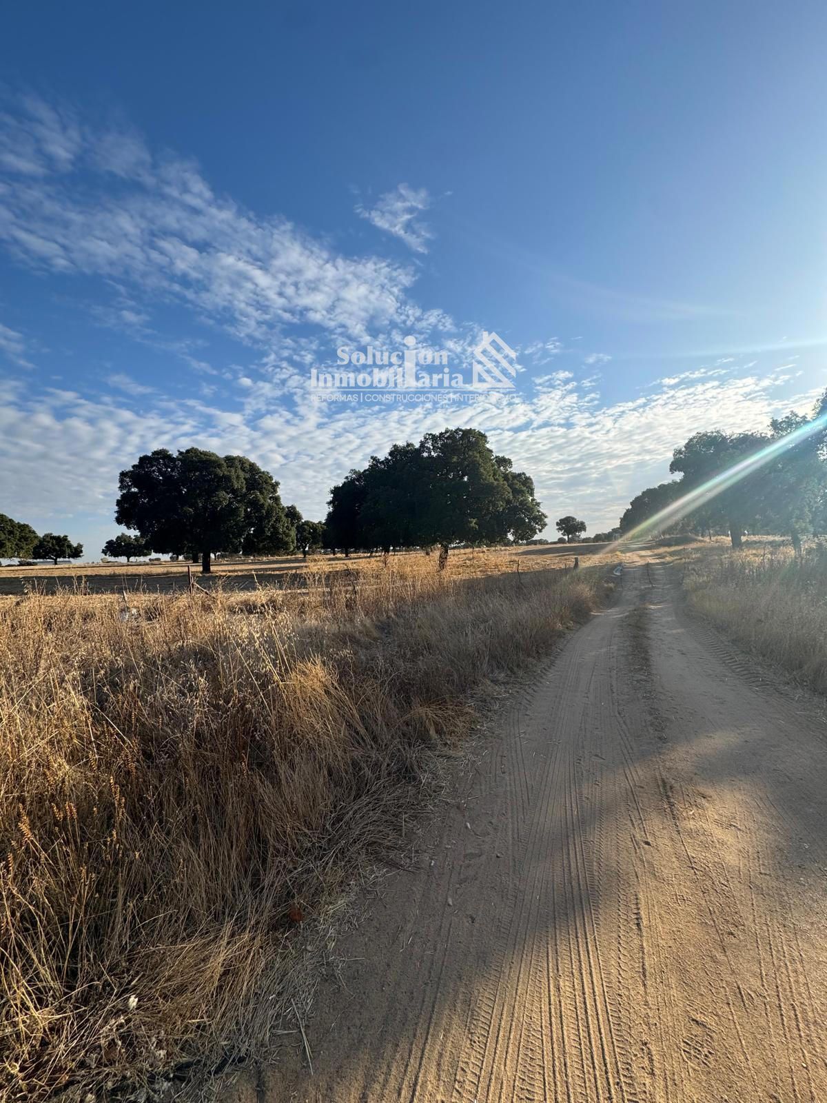 Land for sale in Topas