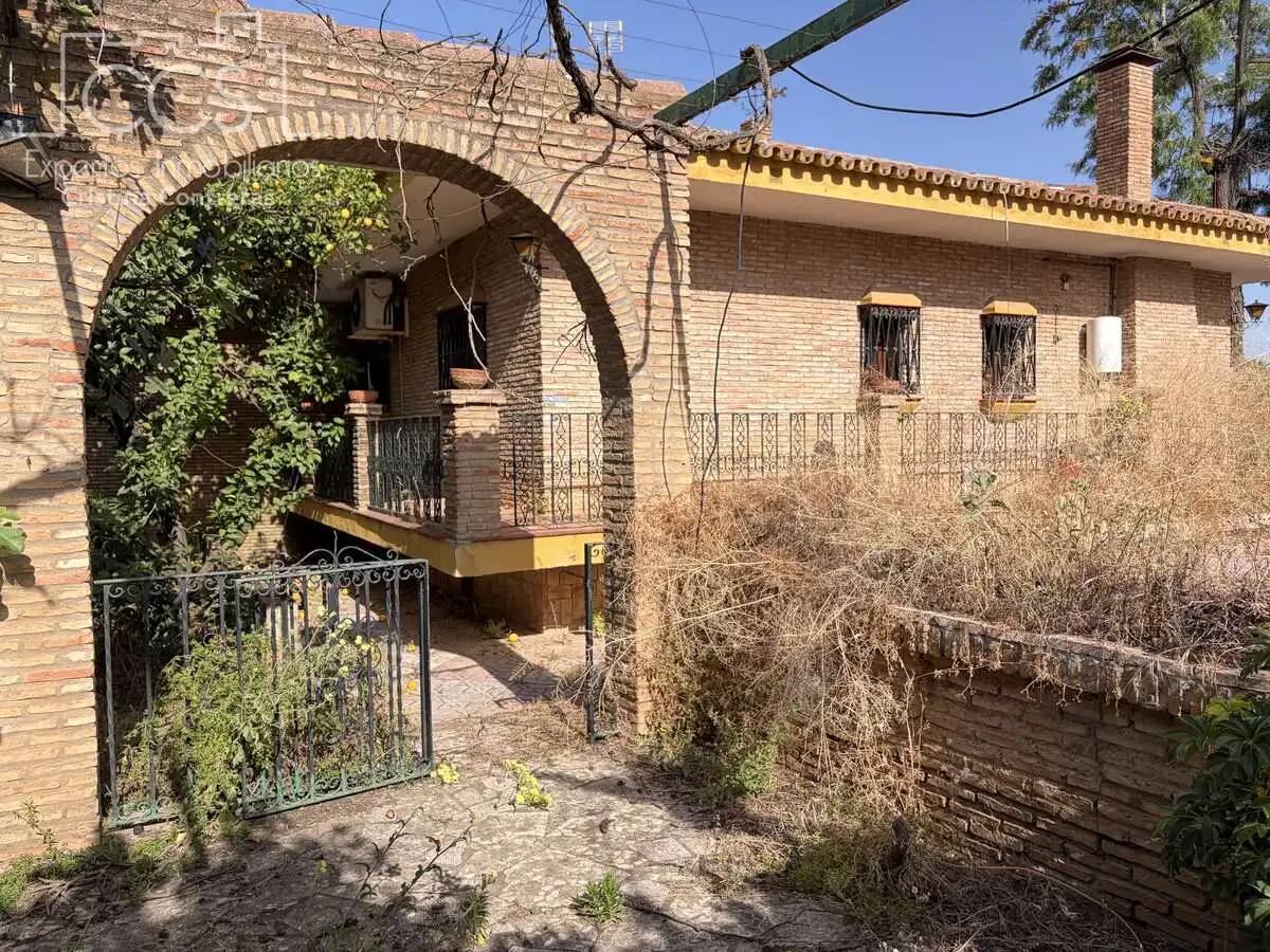 Vista exterior de Casa o xalet en venda en Mairena del Alcor amb Aire condicionat, Traster i Piscina