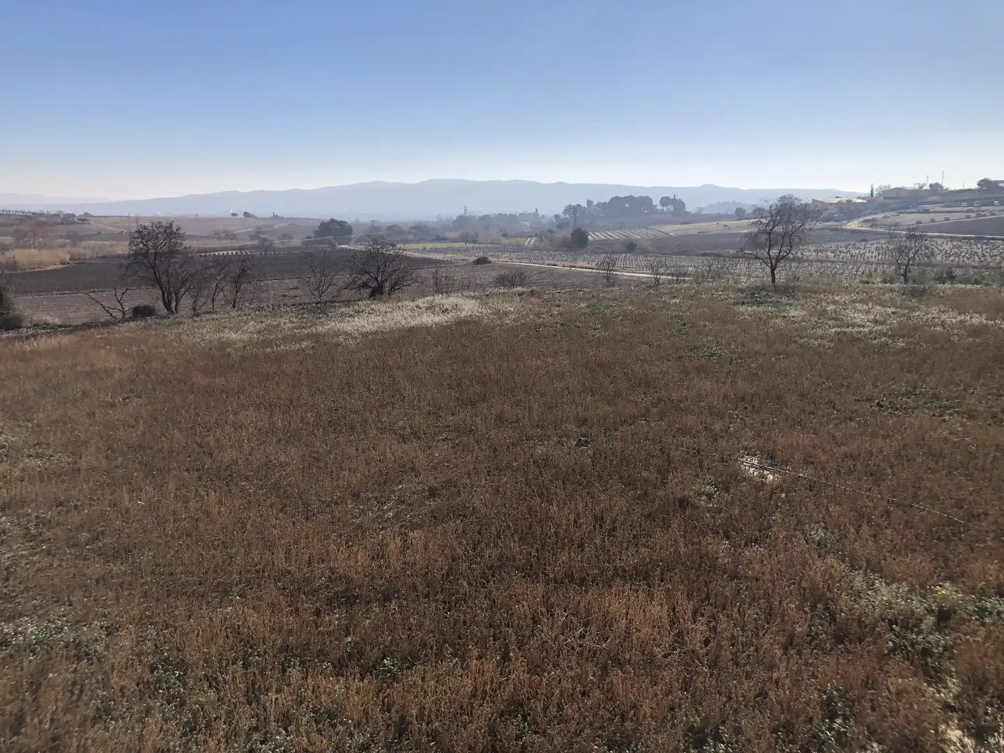 Finca rústica en venta en Castellví de la Marca