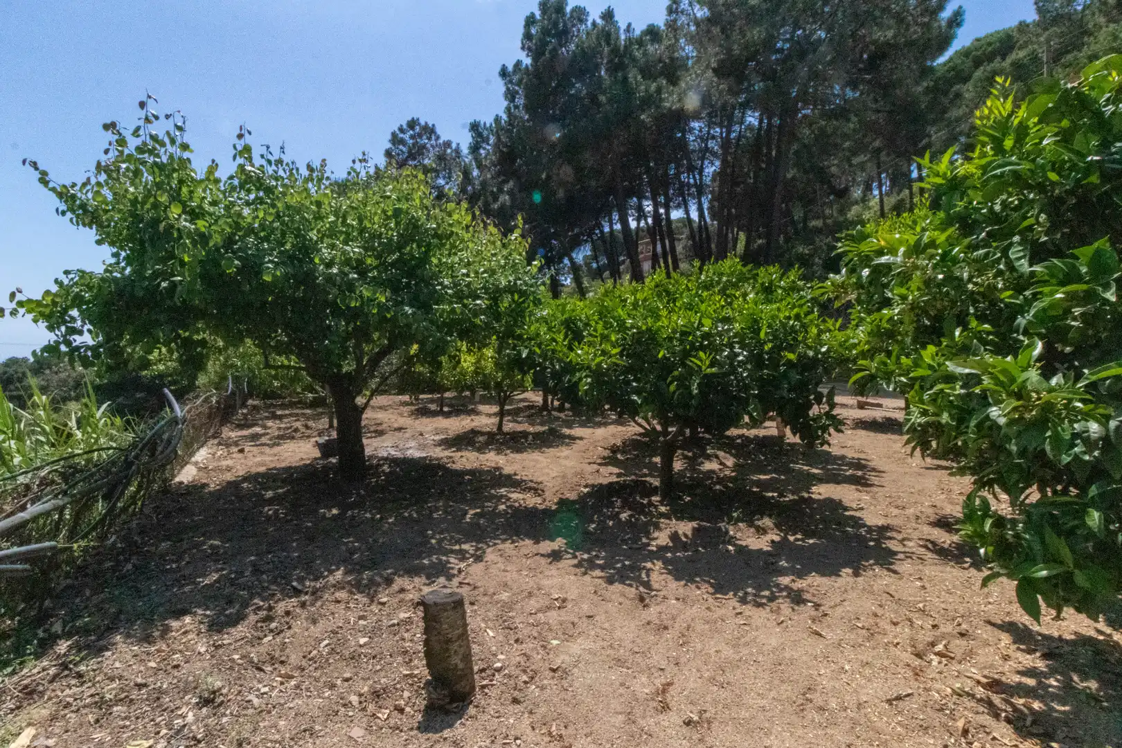 Casa o xalet en venda en Sant Cebrià de Vallalta amb Calefacció, Jardí privat i Terrassa