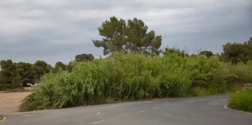 Terreno rustico in vendita a Carrer de la Cigonya 16, imagen 10