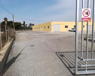 Exterior view of Industrial buildings to rent in Elche / Elx