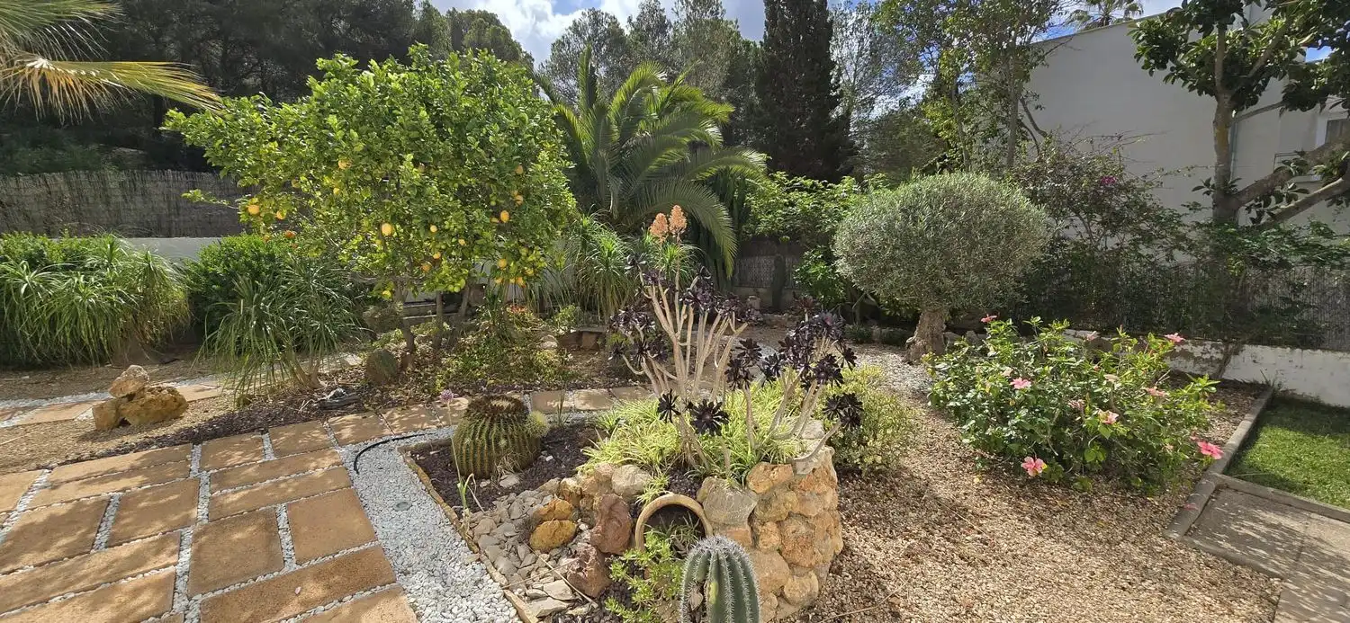 Jardín de Casa o chalet en venta en Calvià con Aire acondicionado, Calefacción y Jardín privado