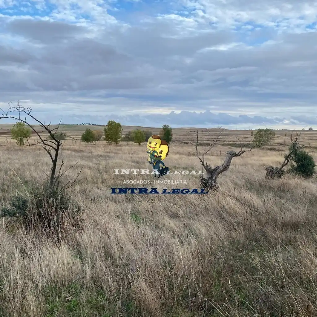 Land for sale in Miranda de Azán