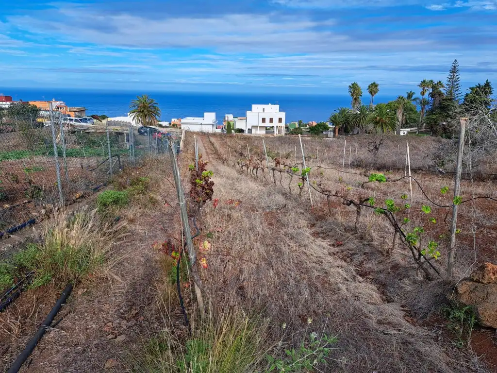 Rural land for sale in El Sauzal, imagen 34
