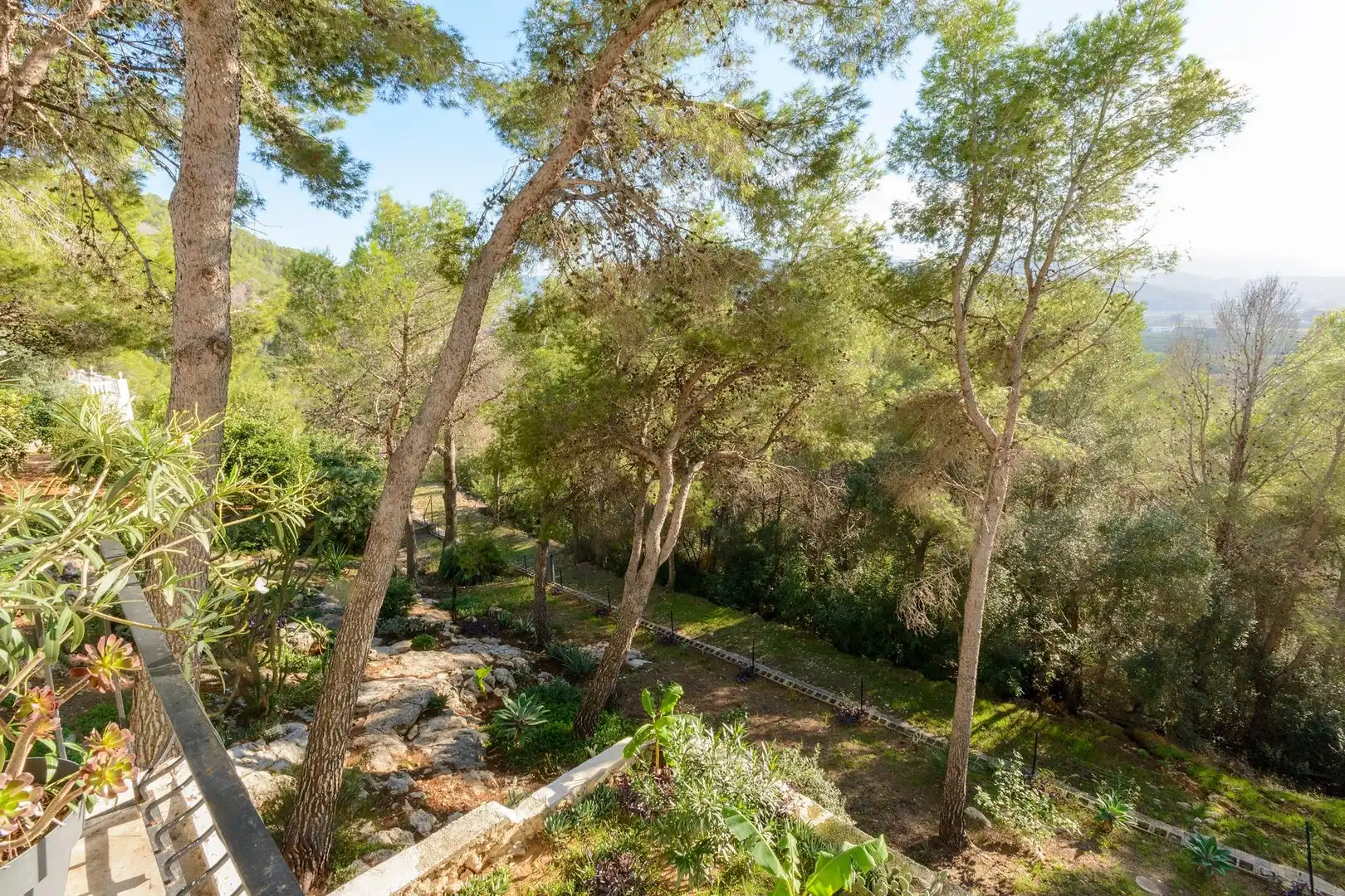Jardín de Casa o chalet en venta en Gandia con Jardín privado, Terraza y Piscina