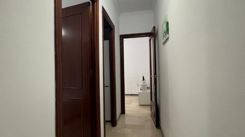 Photo 5 of Apartments for rent in Carmona, Sevilla