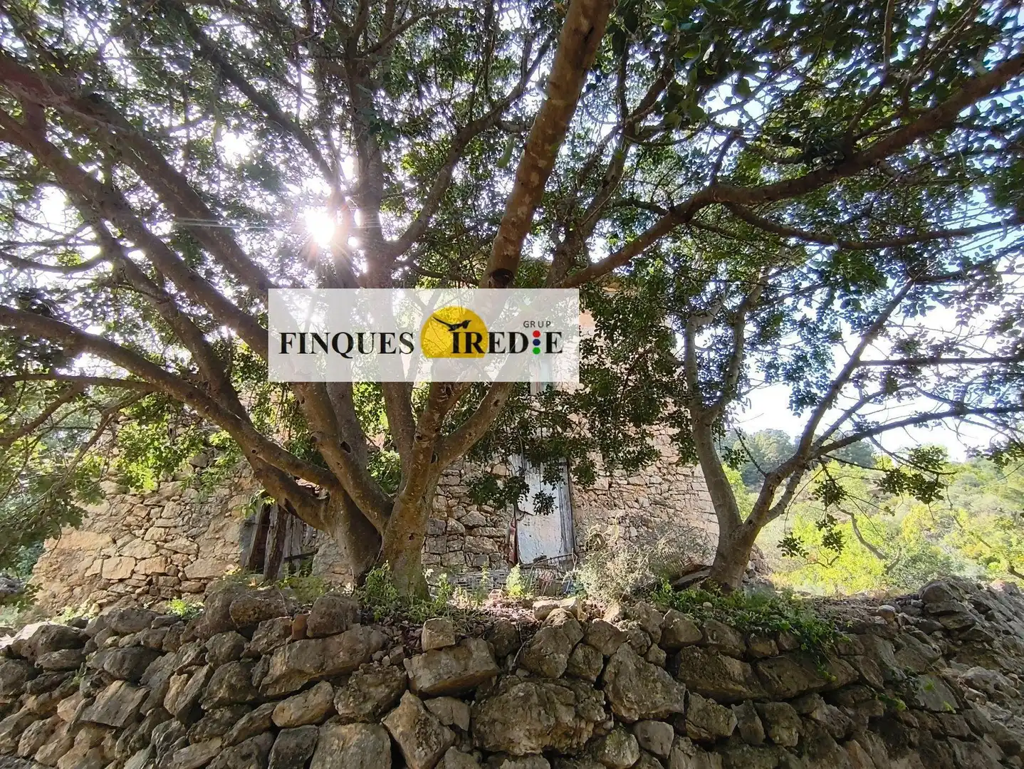 Casa en venta en Alfara de Carles, imagen 11