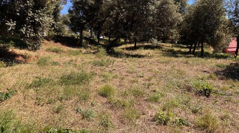 Photo 5 of Residential for sale in Carrer del Pinetell, Sant Pere de Vilamajor, Barcelona