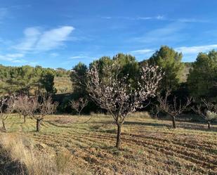 Land for sale in Lorca