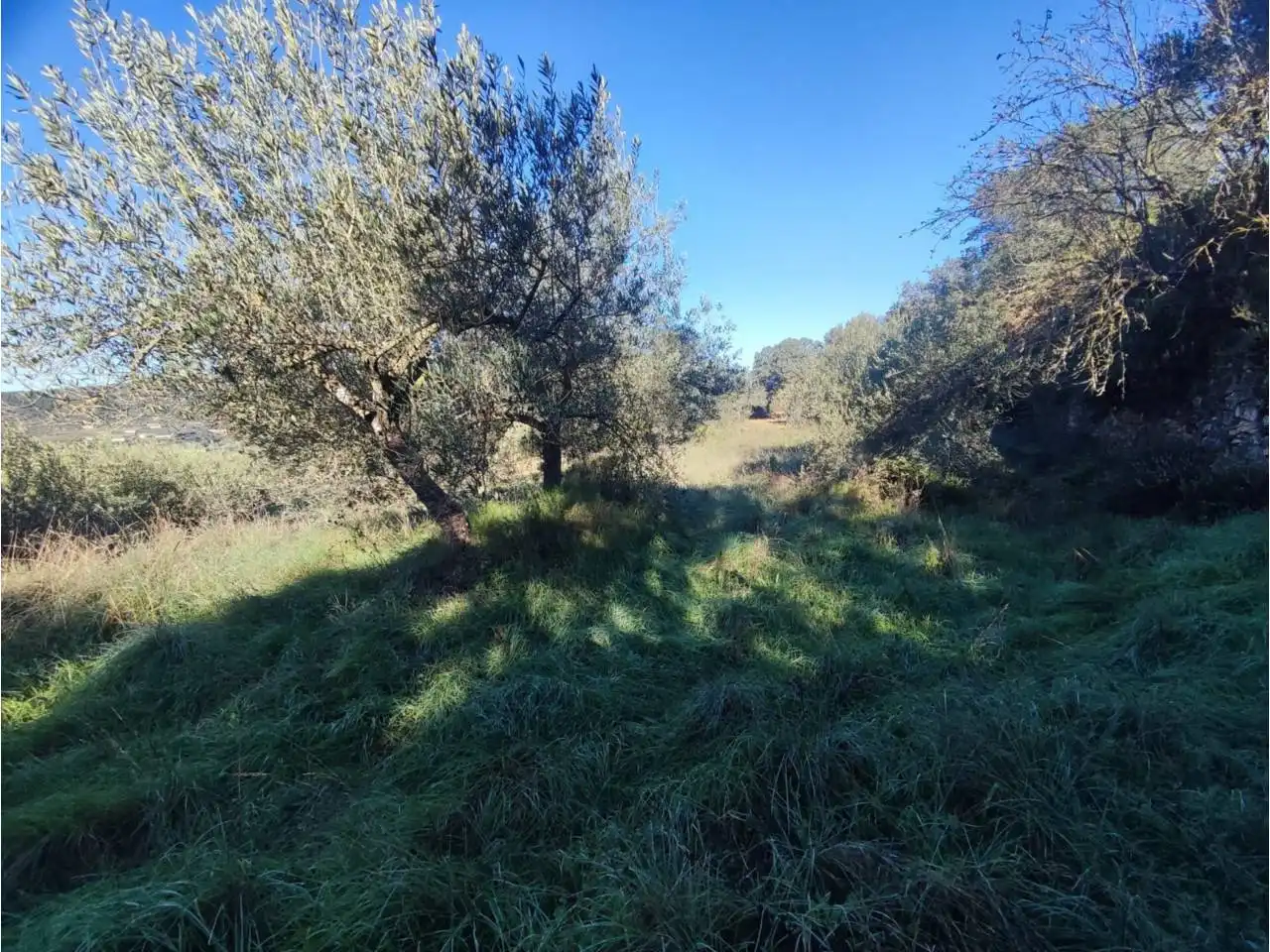 Residencial en venta en El Grado