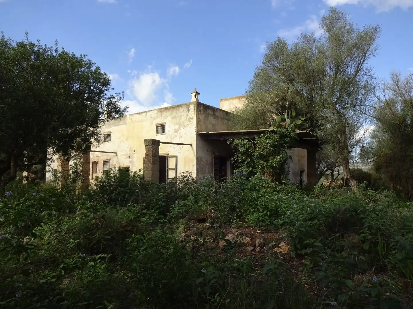 Vista exterior de Finca rústica en venta en  Palma de Mallorca