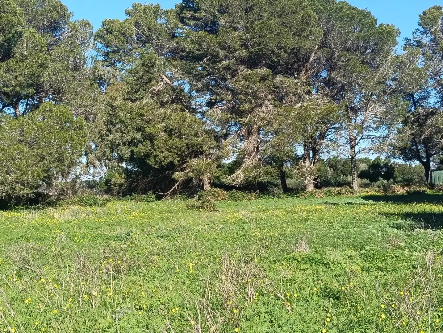 Residential land for sale in Los Franceses – La Vega