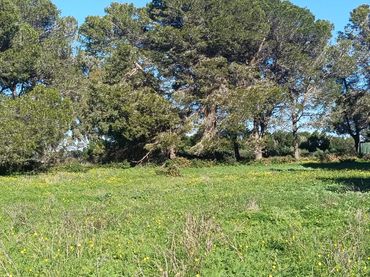 Terreno residenziale in vendita a Los Franceses – La Vega