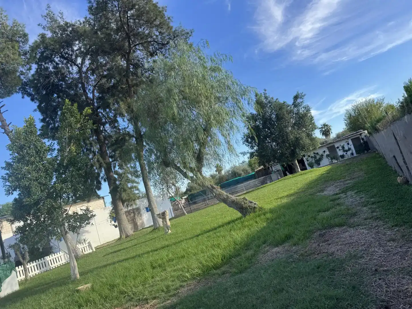 Casa o xalet en venda en Carmona amb Aire condicionat, Jardí privat i Traster