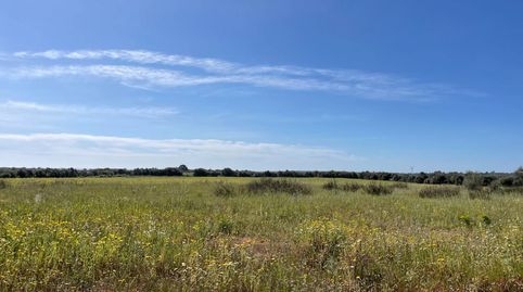 Finca rustica en venta en LLucmajor, imatge 3