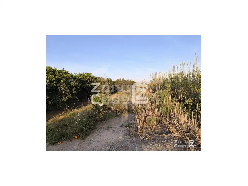 Country homes for sale in Algemesí, Valencia