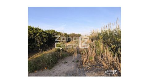 Photo 4 of Country homes for sale in Pol.7 Parc. 43, Algemesí, Valencia