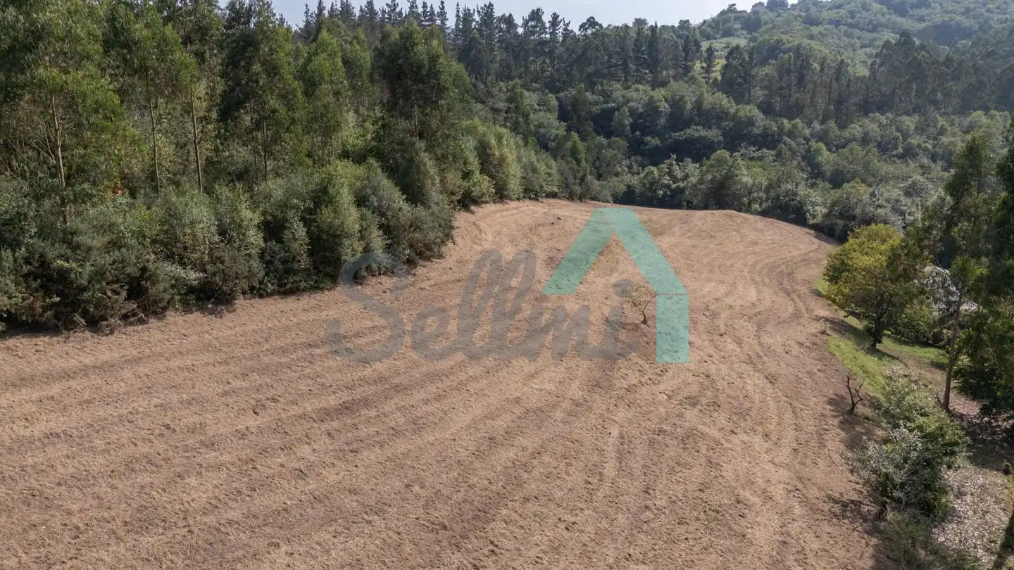 Casa o chalet en venta en Caserio Estilleiro, Coaña