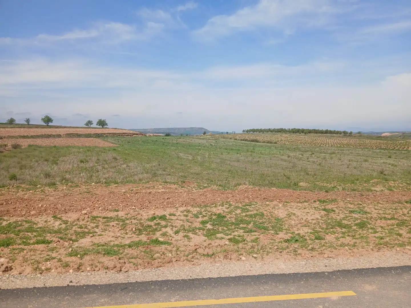 Terreno rustico in vendita a Ausejo