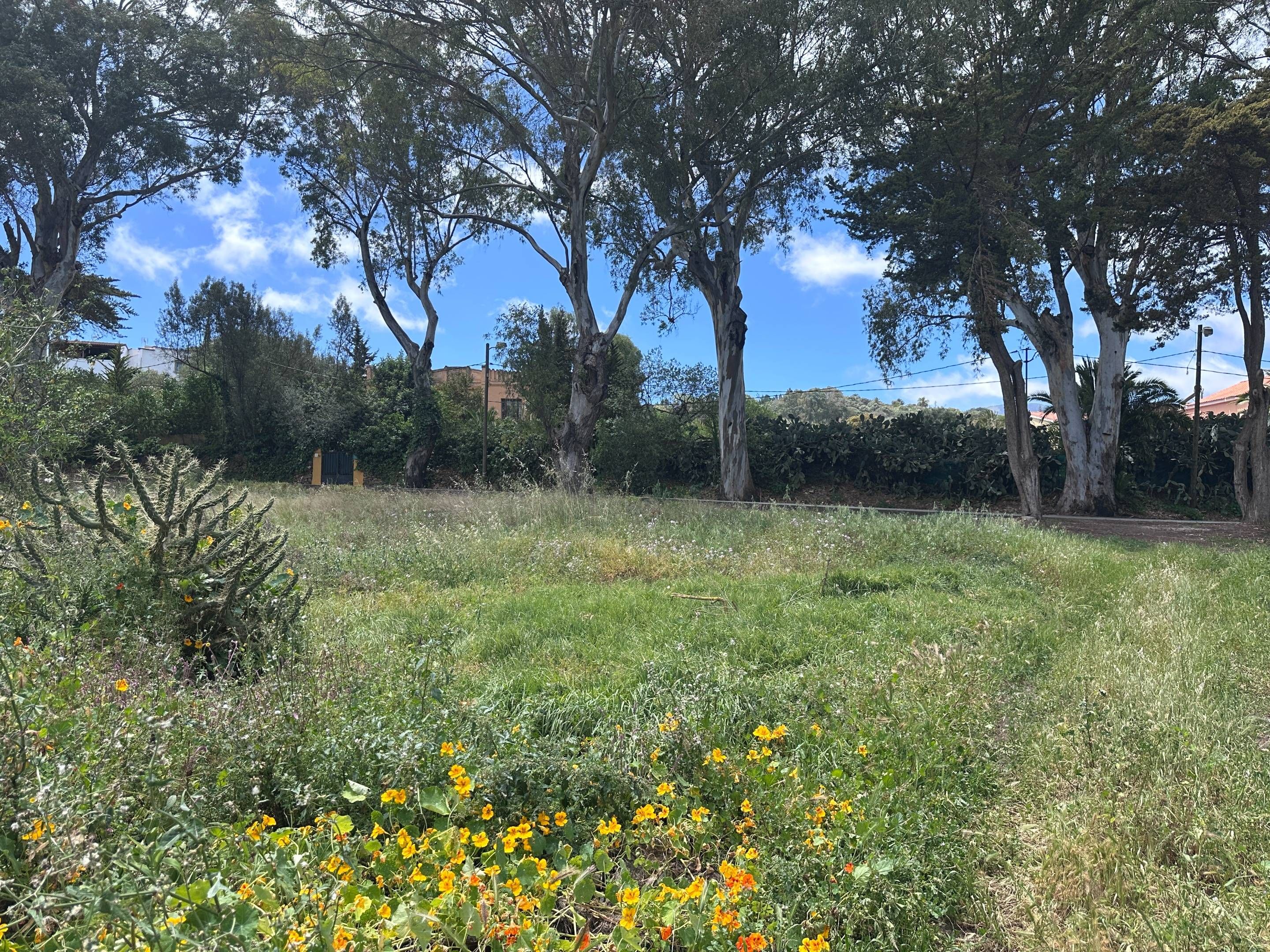 Residencial en venda en Santa Brígida