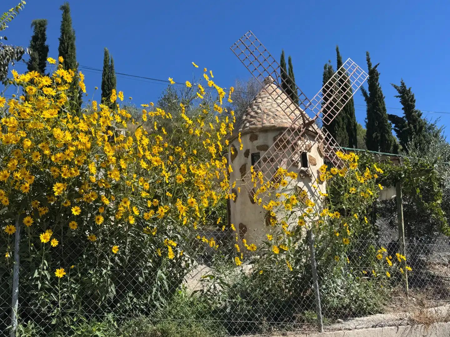 Villa con terrazza in vendita a Carretera de Murcia 13, imagen 71