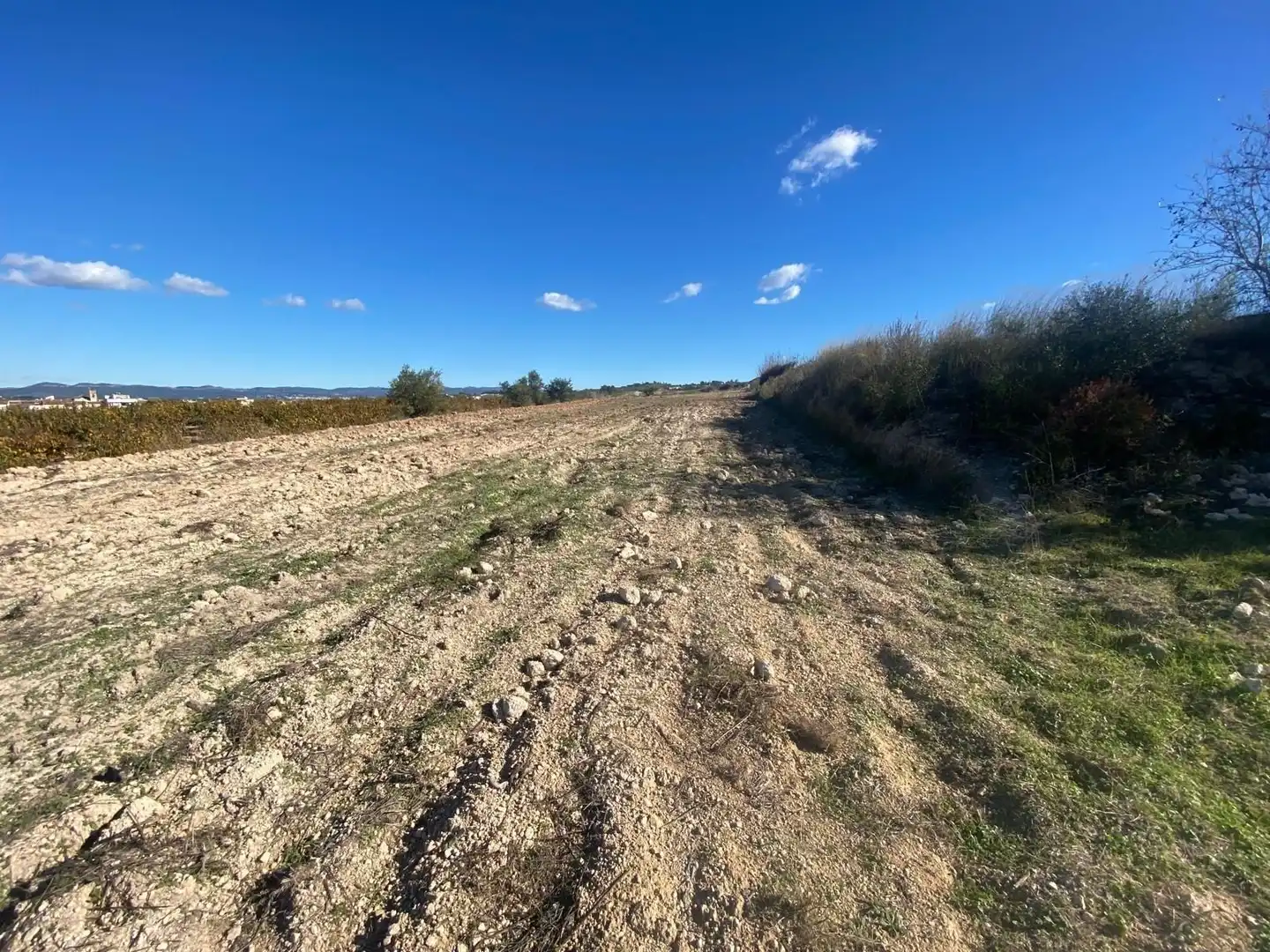 Terreno rustico in vendita a Albaida, imagen 6