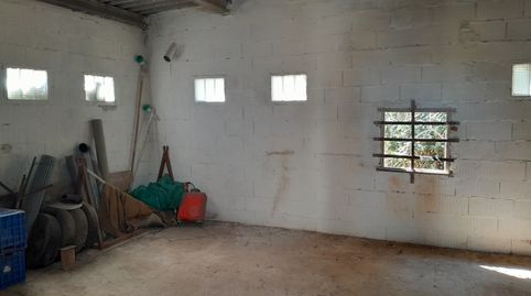 Foto 5 de Finca rústica en venta en Pueblo, Benicarló
