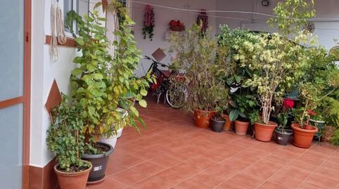 Foto 2 de Casa o xalet en venda a Santiponce, Sevilla