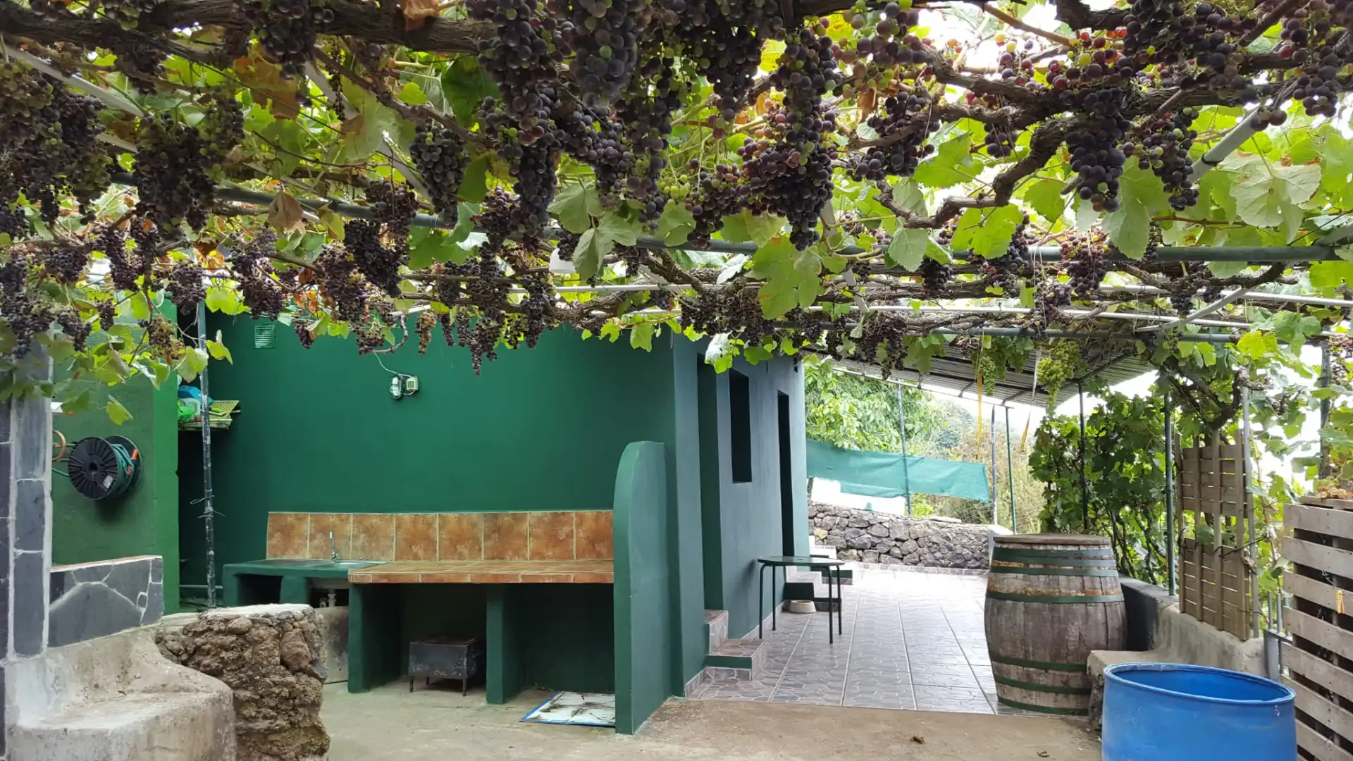Terreno rústico en venta en Calle los Castaṅos 34, imagen 31